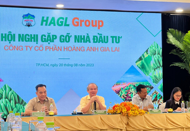 Hội nghị gặp gỡ nhà đầu tư HAGL lần 2 - 2023